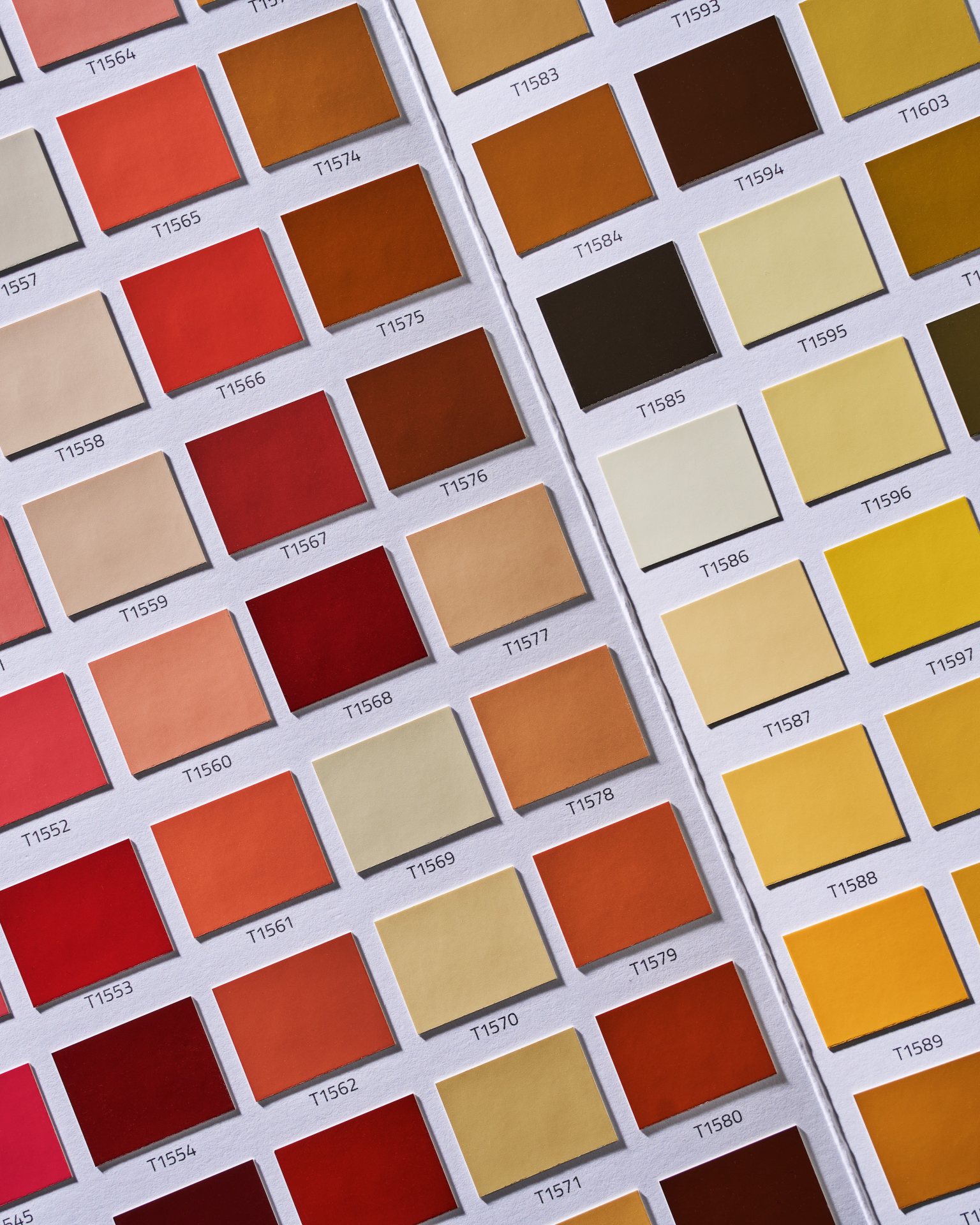 Cartella colori con chip colore precisi